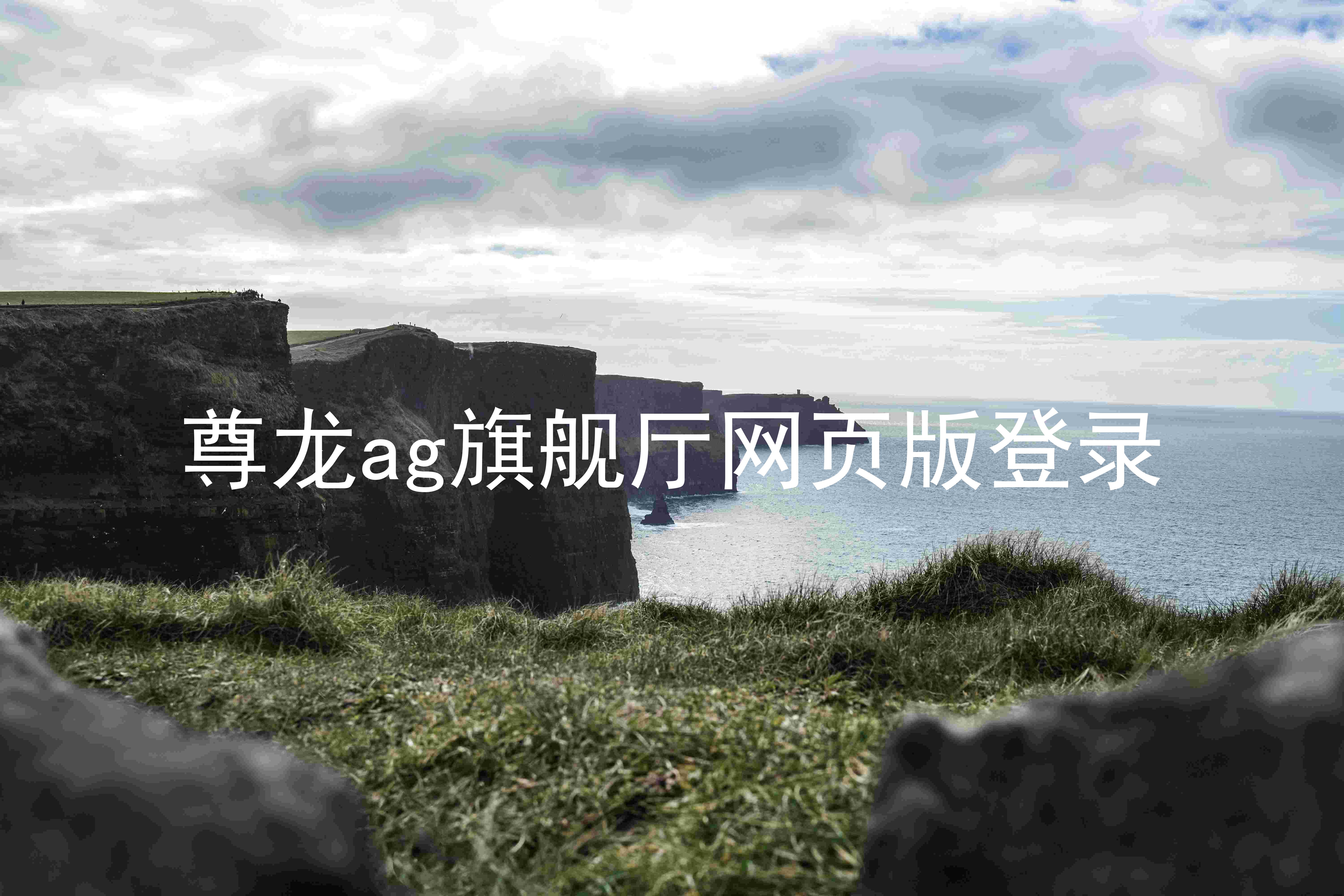 尊龙ag旗舰厅网页版登录