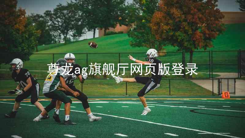尊龙ag旗舰厅网页版登录