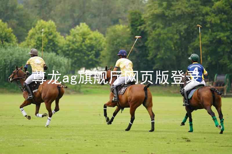 尊龙ag旗舰厅网页版登录